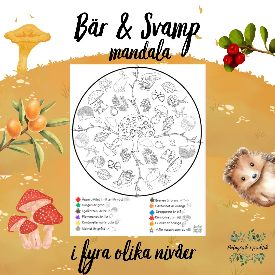 Mandala Bär & Svampar