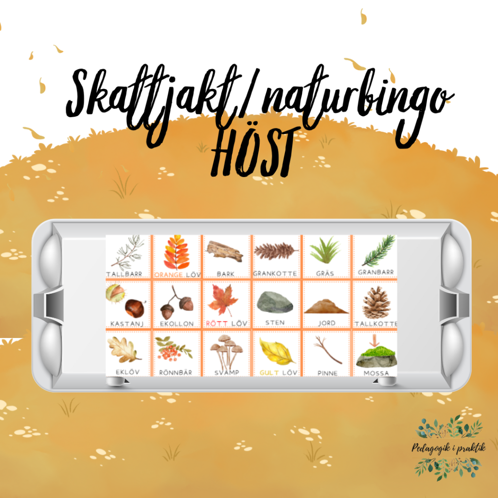 Skattjakt/naturbingo höst