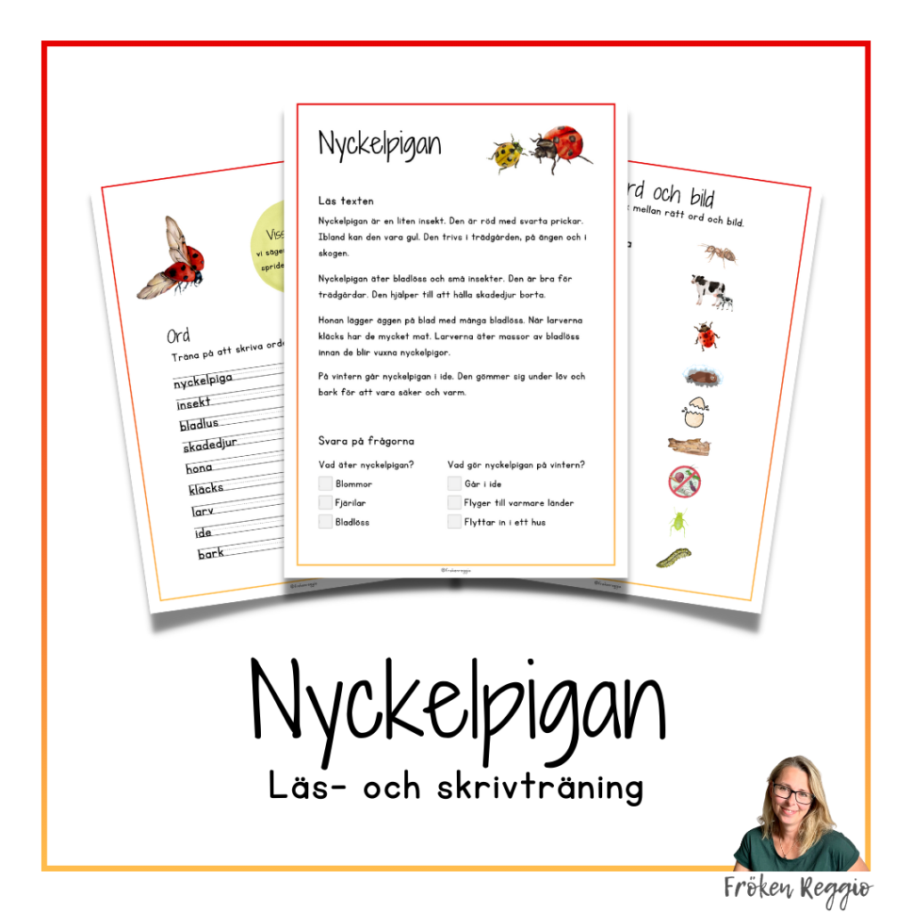 Nyckelpigan – Läs- och skrivträning