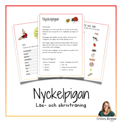 Nyckelpigan - Läs- och skrivträning