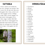 Faktakort svenska fåglar - bild 4