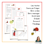 Nyckelpigan – Läs- och skrivträning - bild 2