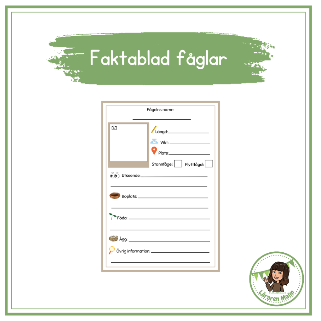 Faktablad svenska fåglar