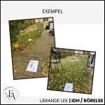 Hinderbana med bildstöd - bild 3