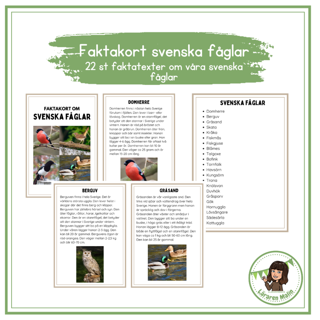 Faktakort svenska fåglar