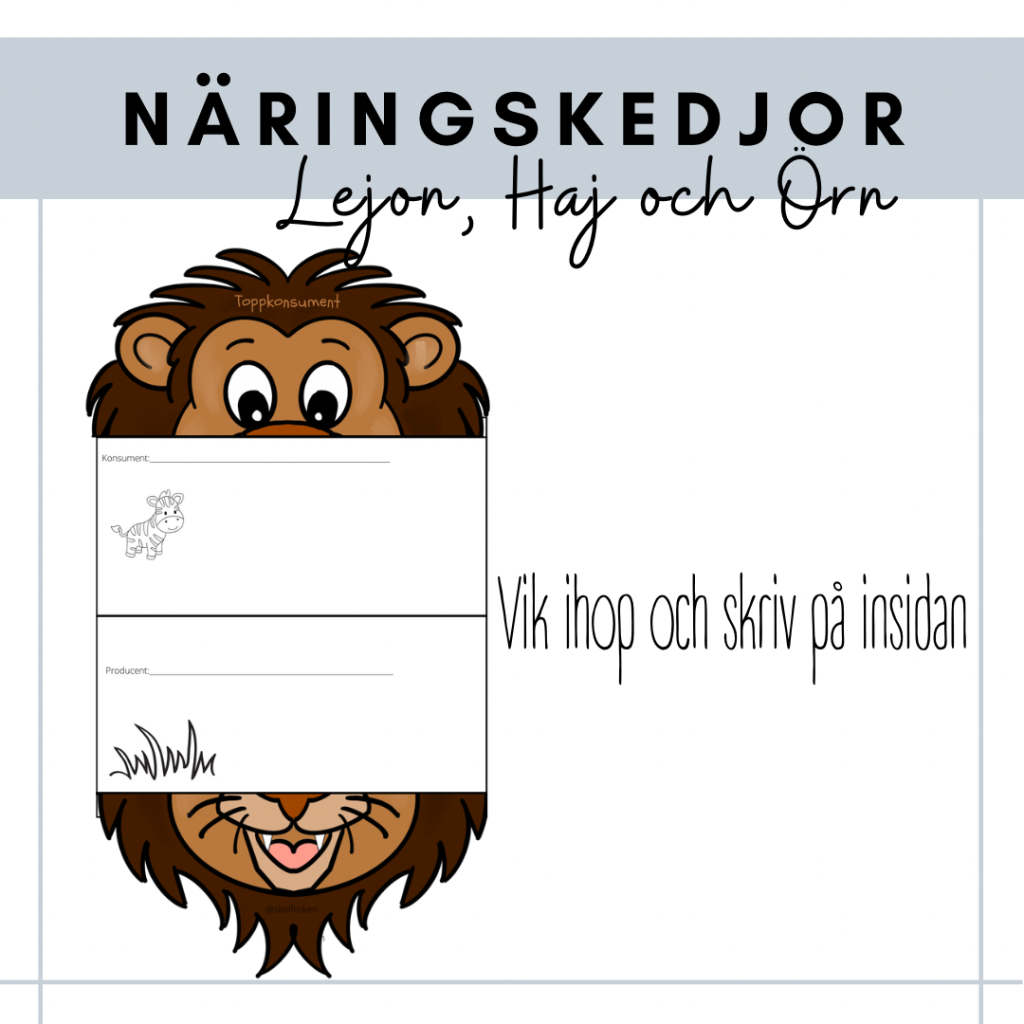 Näringskedjor