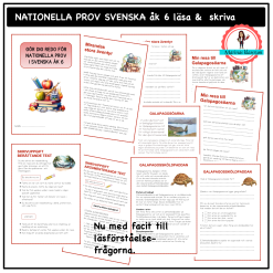 Nationella prov svenska åk 6 läsa och skriva B1+B2+C1+C2