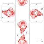 Julkalender – 24 lådor - bild 2