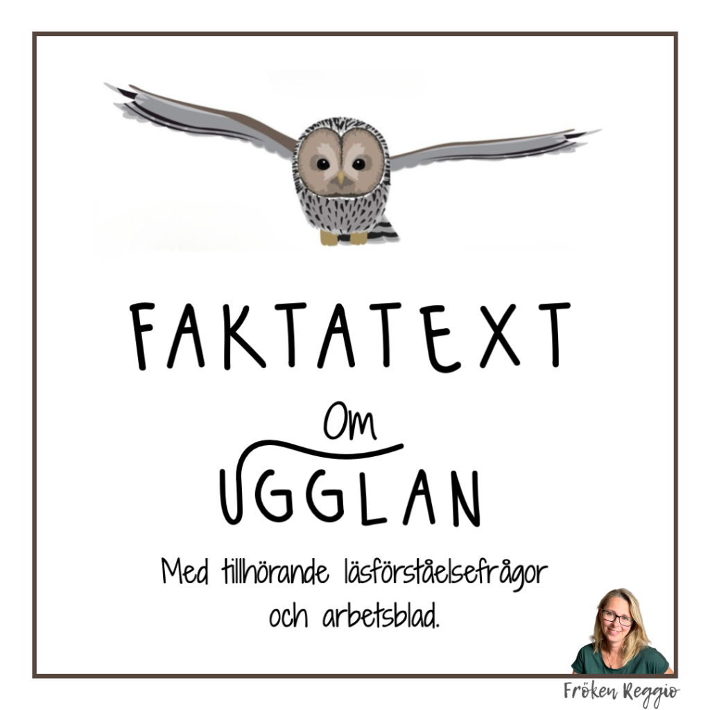 Faktatext om Ugglan
