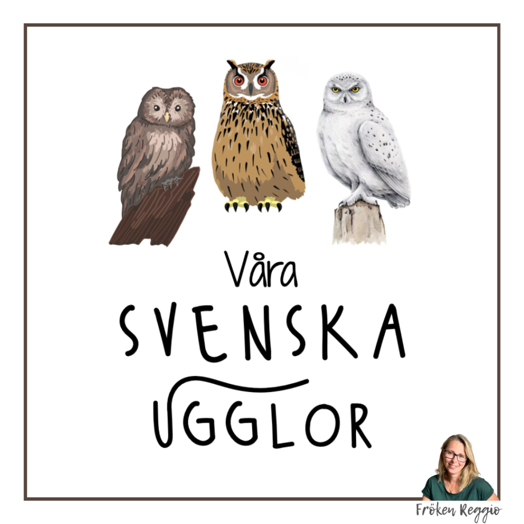 Våra svenska ugglor