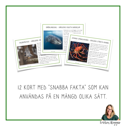 Snabba Fakta om Världens Värstingar - Djur - Del 2