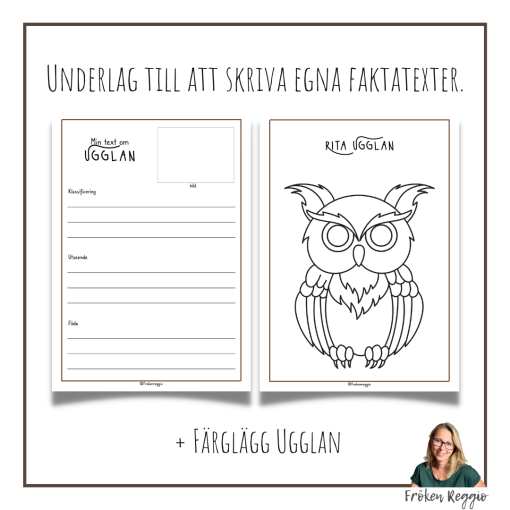 Faktatext om Ugglan