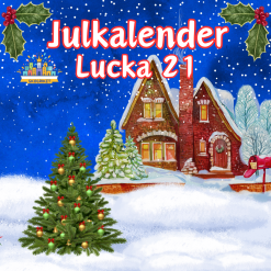 Skolrikets Julkalender Lucka 21: Följ Stjärnorna