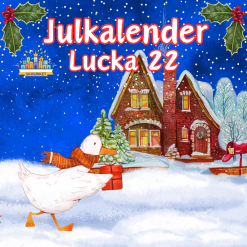 Skolrikets Julkalender Lucka 22: Vad Kommer Näst?