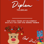Diplom julavslutning - bild 6