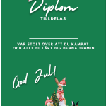 Diplom julavslutning - bild 7