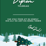 Diplom julavslutning - bild 8