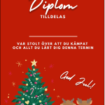Diplom julavslutning - bild 9