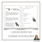 Faktatext om Ugglan - bild 2