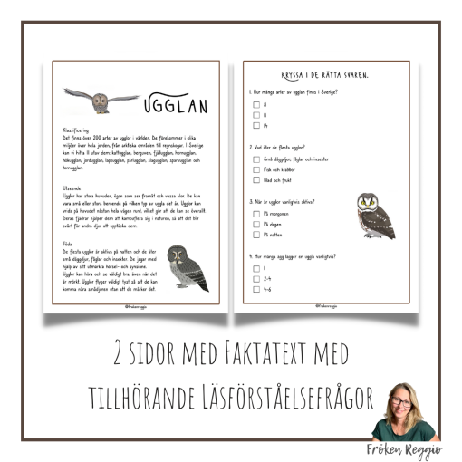 Faktatext om Ugglan