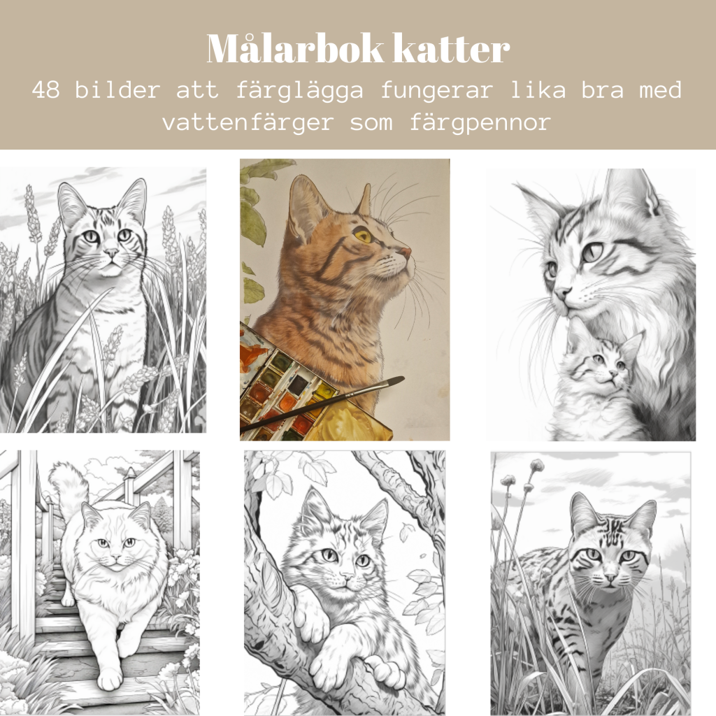 Målarbok katter
