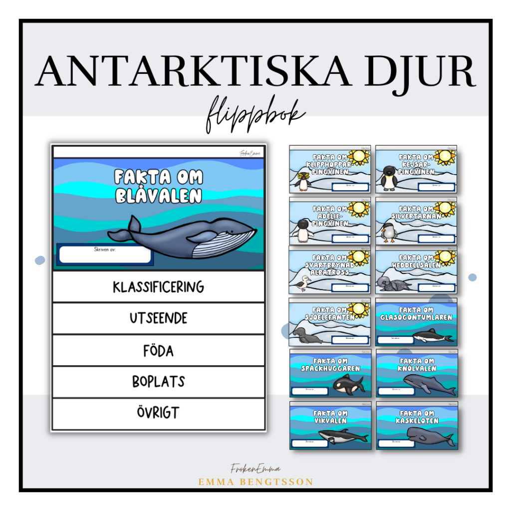 Antarktiska djur – flippbok