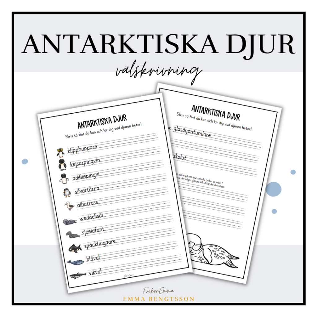 Antarktiska djur välskrivning