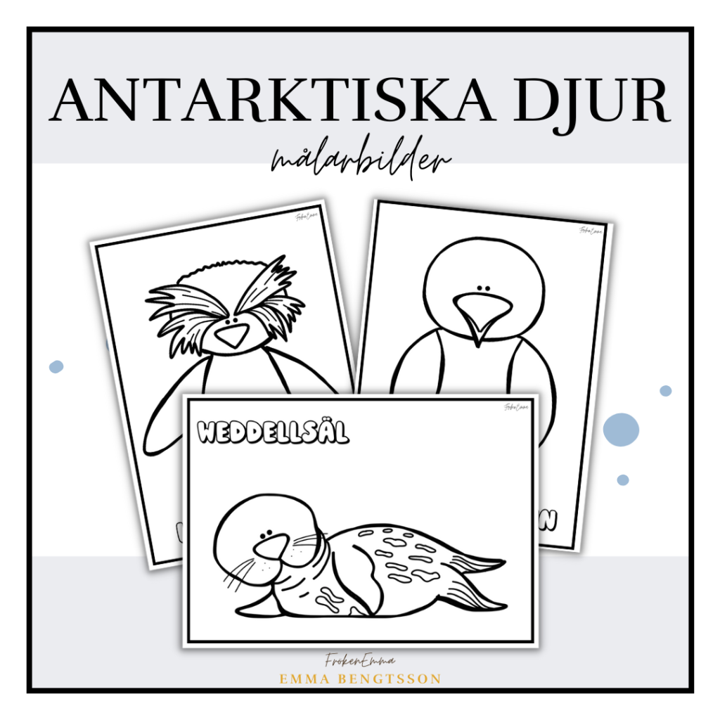 Antarktiska djur – målarbilder