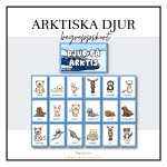 Arktiska djur begreppskort - bild 1