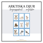 Arktiska djur begreppskort - bild 2