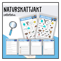 Vinterskattjakt