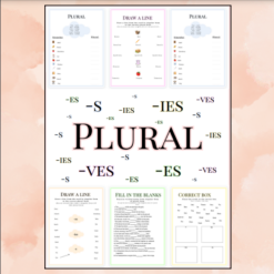 Arbetshäfte Engelska plural (-s, -es, -ies, -ves) med bildstöd
