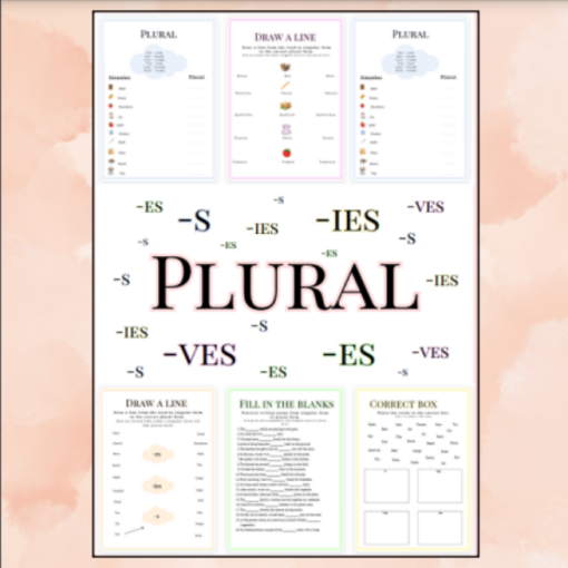 Arbetshäfte Engelska plural (-s, -es, -ies, -ves) med bildstöd
