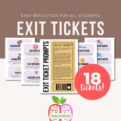 Exit Ticket Prompt