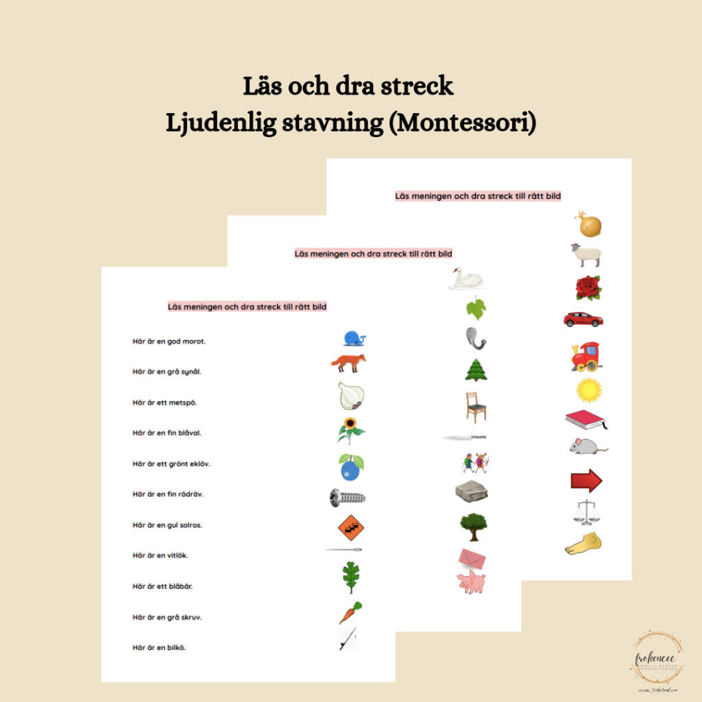 Läs och dra streck – Ljudenlig stavning (Montessori)