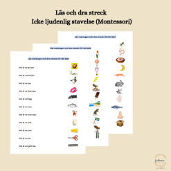 Läs och dra streck - icke ljudenlig stavning (Montessori)