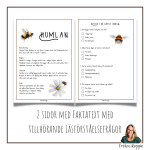 Faktatext om Humlan - bild 2