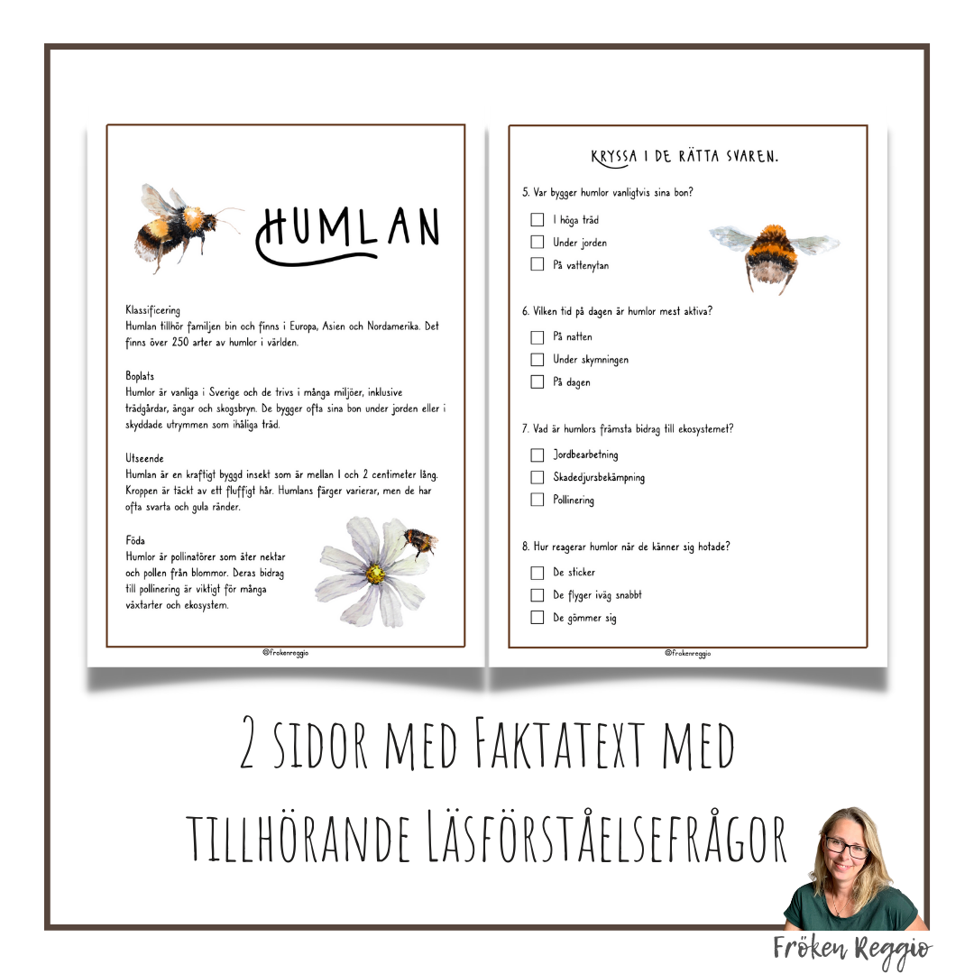 Faktatext om Humlan