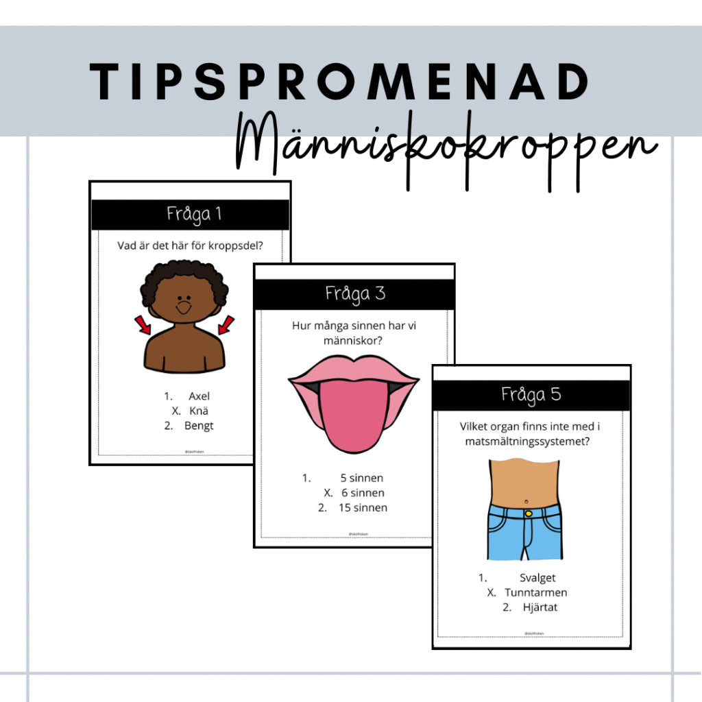 Tipspromenad – människokroppen