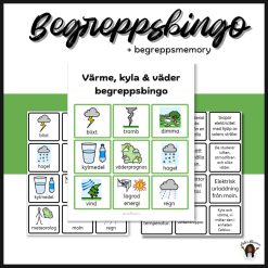 Begreppsbingo + begrepps memory