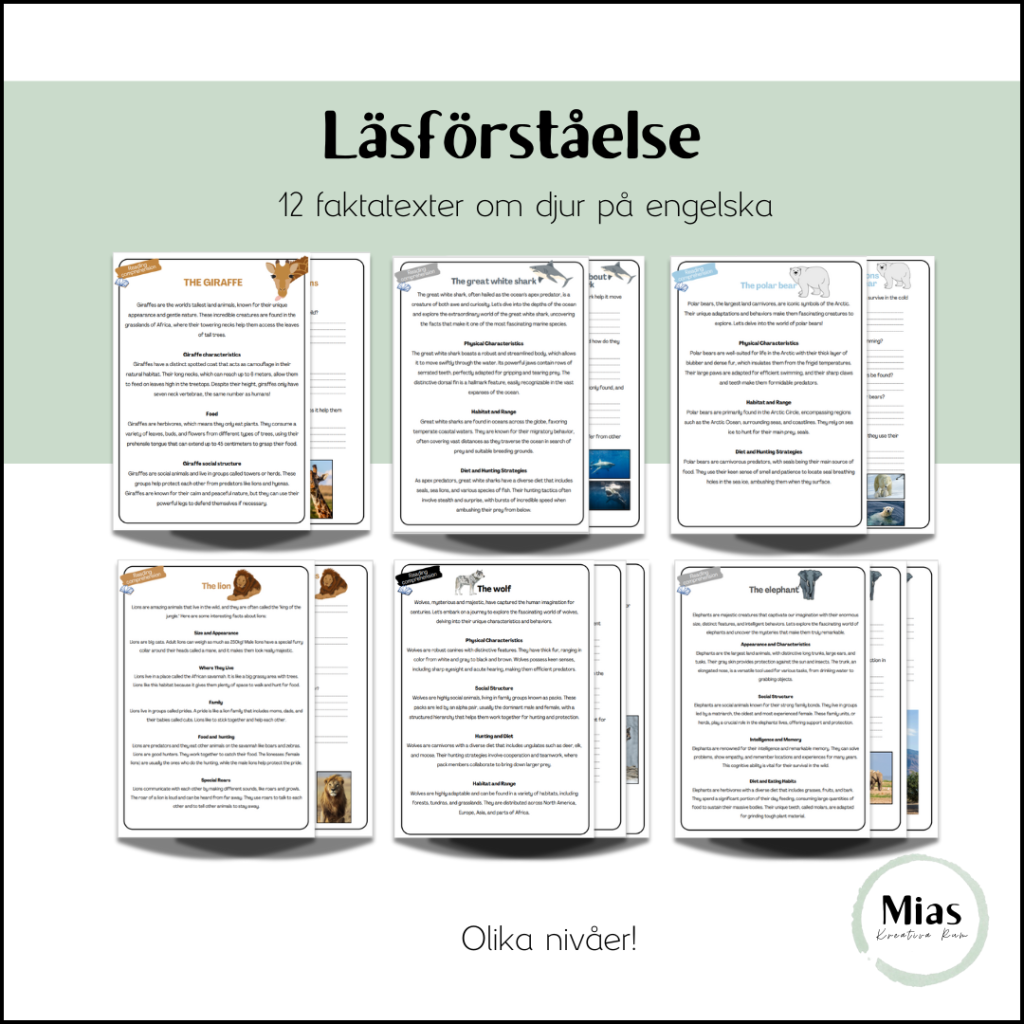 Läsförståelse: 12 faktatexter om olika djur på engelska