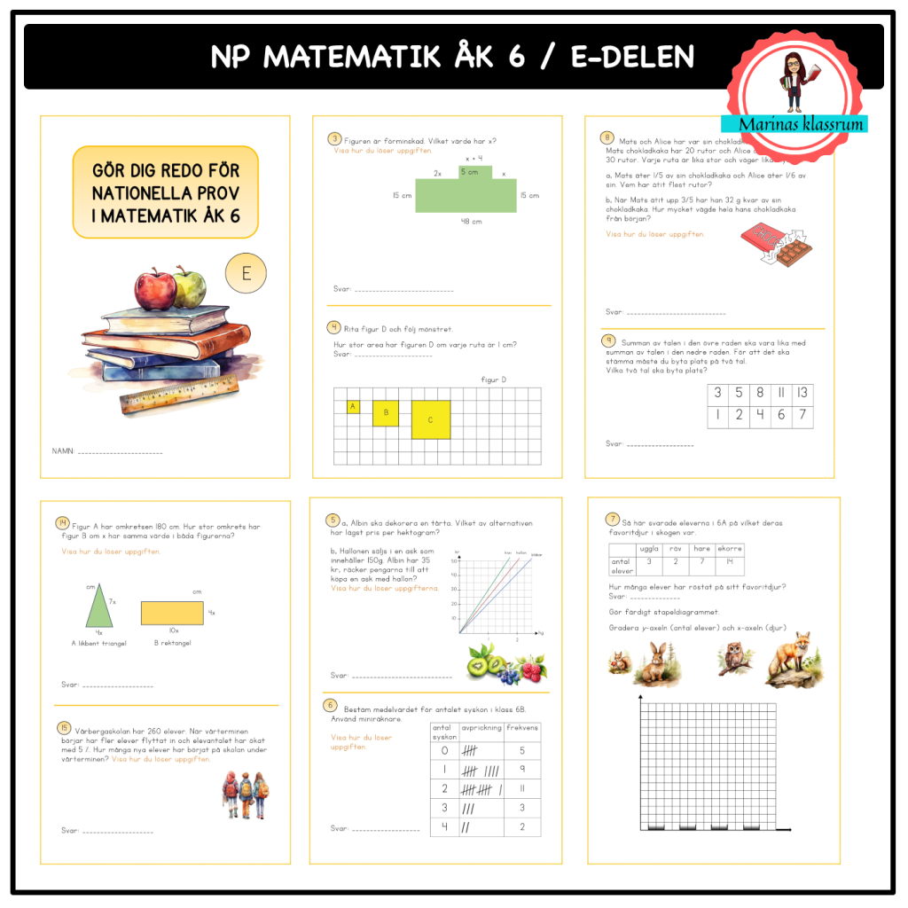 Nationella prov matematik åk 6 E-delen