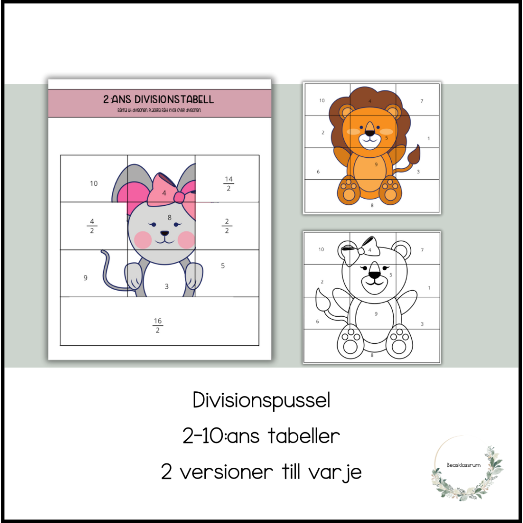 Divisionspussel