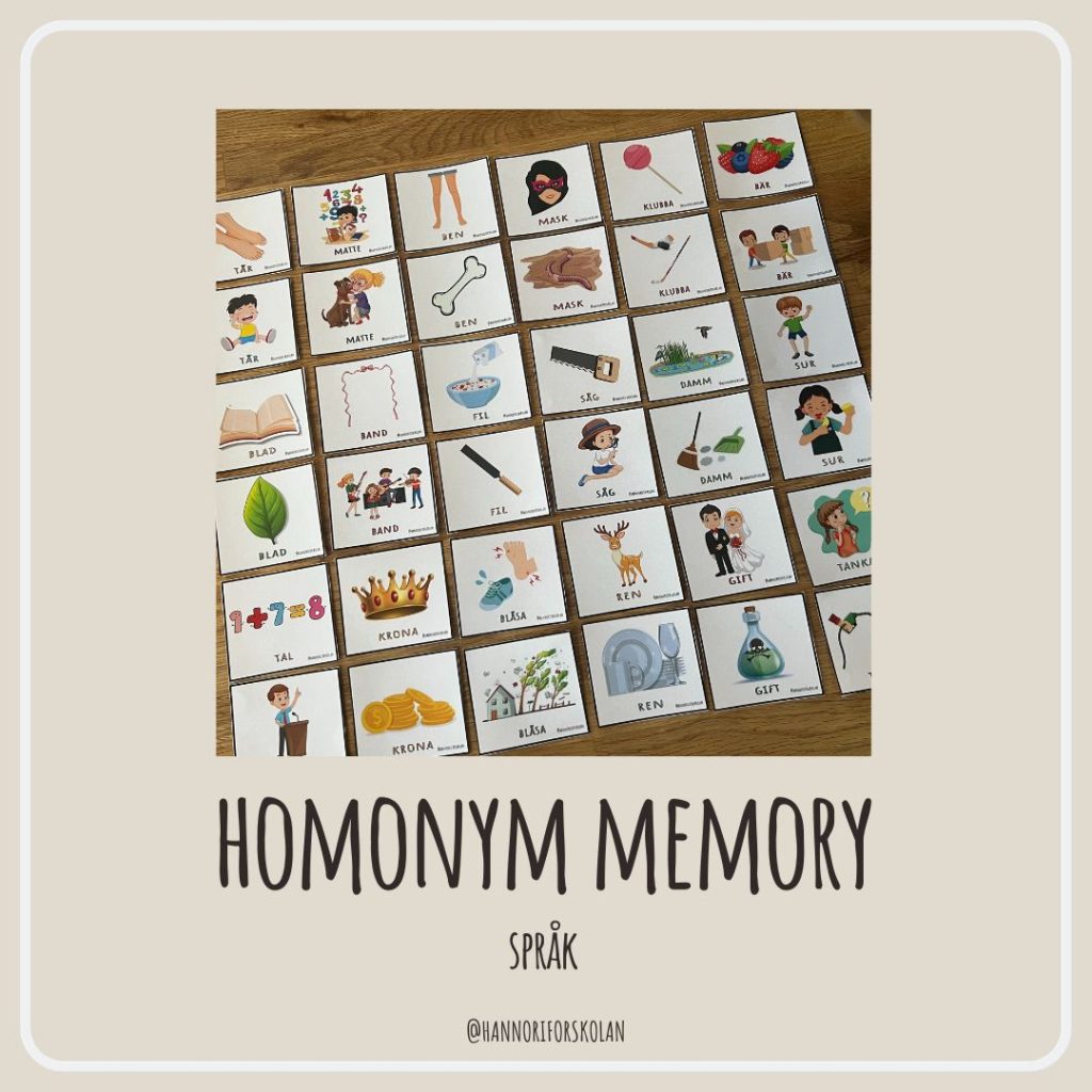 Homonym memory