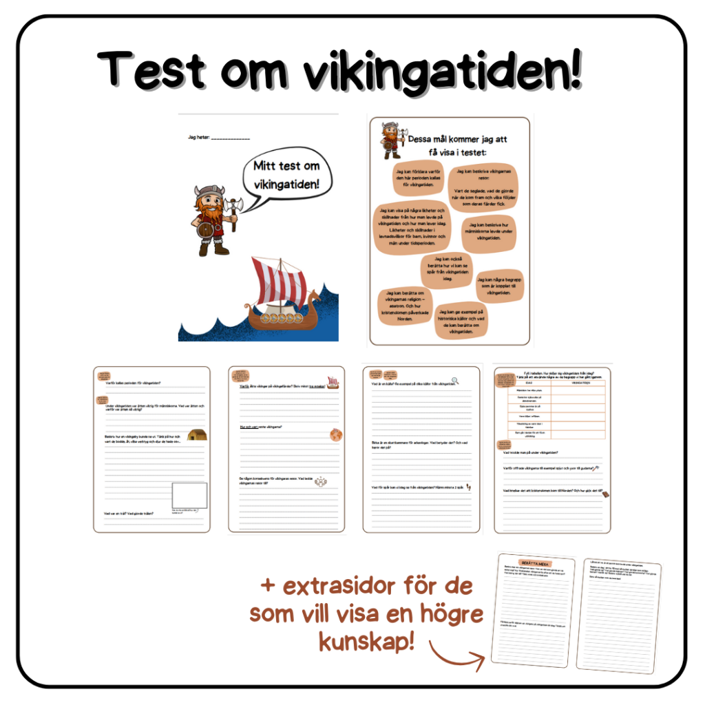 Test/arbetshäfte: Vikingatiden