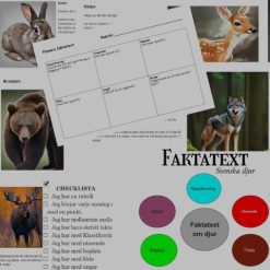 Faktatexter