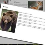 Faktatexter - bild 6