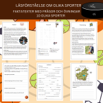 Läsförståelse sporter - bild 1