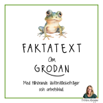 Faktatext om Grodan - bild 1