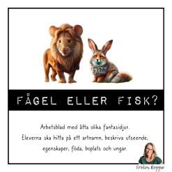 Fågel eller fisk?